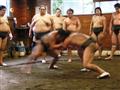 BUBO na tréningu sumo. 
foto: Ľuboš FELLNER — BUBO