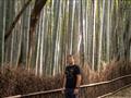 Bambusový les Arashiyama je jedným z najkrajších miest v Kjóte. Zvuk bambusu je pre Japoncov jedným 