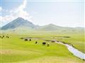 Tradičný mongolský spôsob života je založený na neustálom migrovaní po pasienkoch, aby ich stáda neh