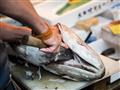 Na vonkajšom Tsukiji markete ochutnáme najčerstvejšie ryby a plody mora. foto: Martin Ferenčík - BUB
