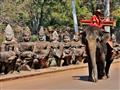Cesta do bývalého hlavného mesta Angkor Thom. Na slonoch sa nevozíme, no stále je to tu pomerne bežn