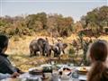 Zvieratá si tu budete užívať počas safari, ale aj počas raňajok, obedov aj večerí. Foto: Archív - BU