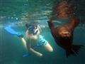 Prečo sú Galapágy také známe? Život Charlesa Darwina a čo ho na Galapágoch uchvátilo.