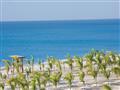 Strážená pláž v jemnom tieni paliem. Foto: Riu Playa Blanca