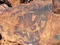 Twyfelfontein je jedno z najlepších nálezísk petroglyfov v Afrike a je zapísané na zozname UNESCO. f