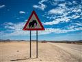 Dlho očakávané safari máme na dosah! foto: Tomáš Hulík - BUBO