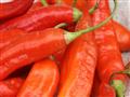 Chilli patrí neodmysliteľne k ekvádorskej kuchyni.
foto: archív BUBO