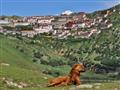 Do tibetských kláštorov