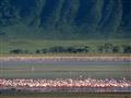 Lake Nakuru - Jazero bolo kedysi známe obrovskými kŕdľami plameniakov, ale ponúka ďaleko viac a je p
