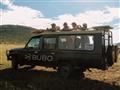 Dotyk s divočinou v priamom prenose. Najrýchlejšia šelma na svete a naše terénne auto.