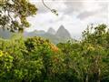 Výhľad na Mount Gimie (950 metrov) a na abundantnú prírodu po ceste južne od Castries.
foto: Ľuboš F