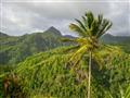 Výhľad na Mount Gimie (950 metrov) a na abundantnú prírodu po ceste južne od Castries.
foto: Ľuboš F