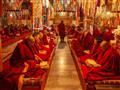 /uploads/Cover photo/SamuelKlc_Tibet_IMG_0138.jpg