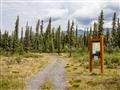Krásna turistická trasa aljašskou divočinou v Národnom parku Wrangell - St Elias. foto: Ľubor KUČERA