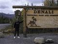 Národný park Denali. foto: Martin Šimko - BUBO