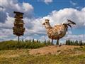 Osada s vtipným názvom – Chicken. Paradoxom je, že tu nikto nechová ani jednu sliepku a názov vzniko