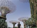 Gardens by the Bay. Foto: Martin Šimko - BUBO