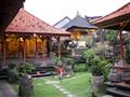 Klimatizovanou dopravou a s profesionálnym sprievodcom sme sa dostali do mestečka Ubud. Na každom kr