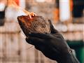Islam, budhizmus, kresťanstvo, hinduizmus, tradičné čínske náboženstvá, ale aj animizmus a ľudová vi