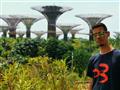Superstromy v oblasti Marina Bay, pastva pre oči v tropickom Singapure.
FOTO: Jozef MARTINÁSEK – BUB