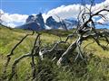 Nezabudnuteľné ráno. Celodenný výlet po národnom parku Torres del Paine.  Foto: Katarína Foltánová -