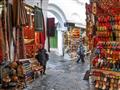 Tunis - prechádzka medinou. foto: Tomáš Kubuš - BUBO