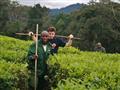 Luboš Fellner na čajovej plantáži neďaleko Nyungwe forest
