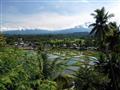 Krásna Sumatra.
foto?: Jozef ZELIZŇÁK — BUBO