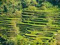 ôsmy div sveta v Banaue