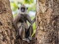 Flóra aj fauna v rajskej záhrade sú pestré a fotoaparáty dávajú pomaly ale isto zabrať.
foto?: Marti