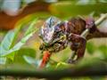 Vitajte v Noemovej arche menom Madagaskar. Čaká nás jedinečná kultúra ostrova, zvieratá, ktoré nenáj
