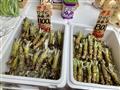 Viete ako vyzerá japonský chren? Toto je koreň wasabi!
foto: Martin Šimko - BUBO