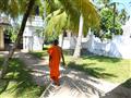 Celá rezort je v obklopení paliem a exotiku tu cítite na každom rohu. foto: Ayurvie Weligama