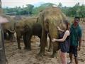 Dotknúť sa slona a byť takto blízko je zážitok a ten by sme Vám radi u našich kamarátov mahútov spro