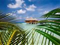 Vodné vily predstavujú symbol Maldív a ak máte radi ikonický luxus, skúste pouvažovať nad touto alte