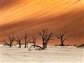 Kaolínovo biela zem, červené duny, modrá obloha a 1200 rokov suché akácie. Neuveriteľné miesto, aké 