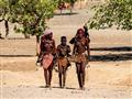 Obývajú najnehostinnejšiu časť Namíbie známu ako Kaokoland a južnú Angolu. foto: Tomáš Hulík - BUBO