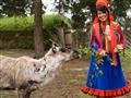 Spoznáme aj kultúru Sámov. Práve toto etnikum sa dodnes venuje chovu sobov.
foto: archív BUBO