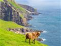 Prekrásna krajina v divokom severnom Atlantiku na polceste medzi Škótskom a Islandom. Severská verzi