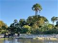 Národný park Zambezi leží na brehoch rovnomennej rieky. K vode sa prichádzajú napiť rôzne zvieratá a