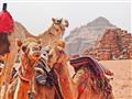 Na Wadi Rum prežijeme príbeh slávneho Lawrenca z Arábie foto: František Kekely - BUBO