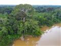 V roku 2021 rozširujeme program o možnosť navštíviť Amazóniu.  foto: Frederik Schwall - BUBO