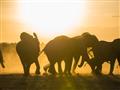 Čaká nás úžasná cesta Severom Etiópie so záverom na safari v Keni. foto: Tomáš Hulík - BUBO