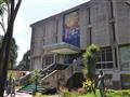 Národné múzeum v Addis Ababa uchováva ostatky asi najslávnejžej 