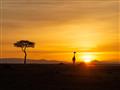 Takto si každý z nás predstavuje Afriku: Savana, akácia, žirafa a najkrajší západ slnka na svete. fo