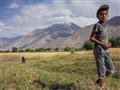 12 ročný braček.  Mama v rukaviciach ručne žne obylie a on ako správny tadžický muž pobehuje s vetro