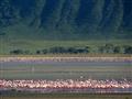 Lake Nakuru - Jazero bolo kedysi známe obrovskými kŕdľami plameniakov, ale ponúka ďaleko viac a je p