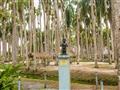 Palmová záhrada Palmentuin sa rozprestiera priamo za prezidentským palácom. foto: Ľubor Kučera – BUB