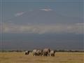 Amboseli, toto je to vysnívané Safari pod Kilimandžárom, ako ho nazval aj Jozef Vágner