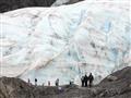 Ľadovec Exit je jedným z najľahšie dostupných ľadovcov vôbec a na vyhliadky vedú jednoduché turistic